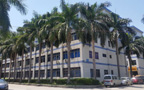 pic3